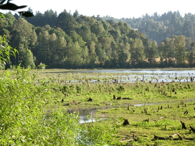 7.27.06 Oaks Bottom 015 